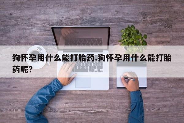 药流药如何购买狗怀孕用什么能打胎药.狗怀孕用什么能打胎药呢？