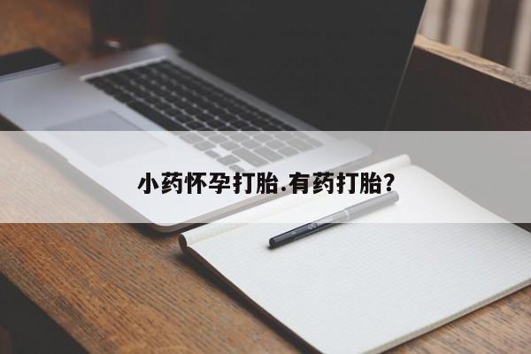 药流药如何购买小药怀孕打胎.有药打胎？