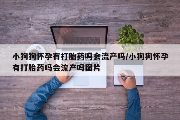 药流药如何购买小狗狗怀孕有打胎药吗会流产吗/小狗狗怀孕有打胎药吗会流产吗图片