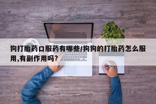 药流药如何购买狗打胎药口服药有哪些/狗狗的打胎药怎么服用,有副作用吗?