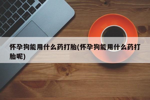药流药如何购买怀孕狗能用什么药打胎(怀孕狗能用什么药打胎呢)